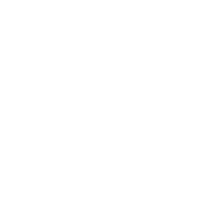 Brand Blackhawk